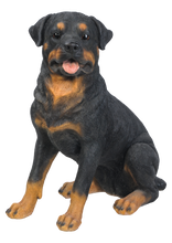 Load image into Gallery viewer, Rottweiler Sitting

