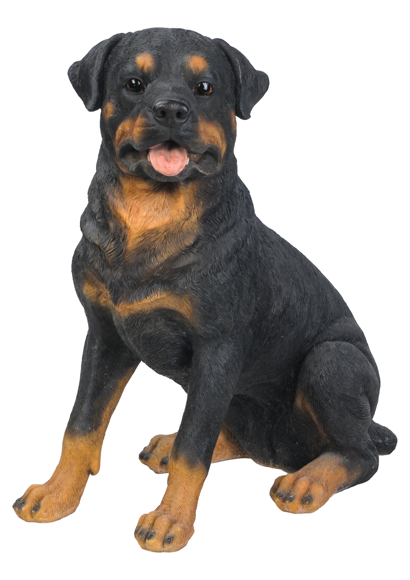 Rottweiler Sitting