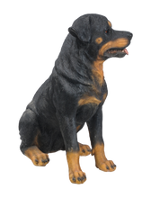 Load image into Gallery viewer, Rottweiler Sitting
