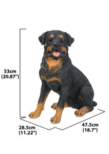 Load image into Gallery viewer, Rottweiler Sitting
