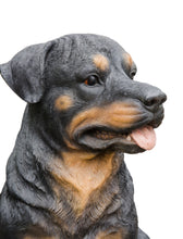 Load image into Gallery viewer, Rottweiler Sitting
