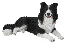 Load image into Gallery viewer, Lying Border Collie
