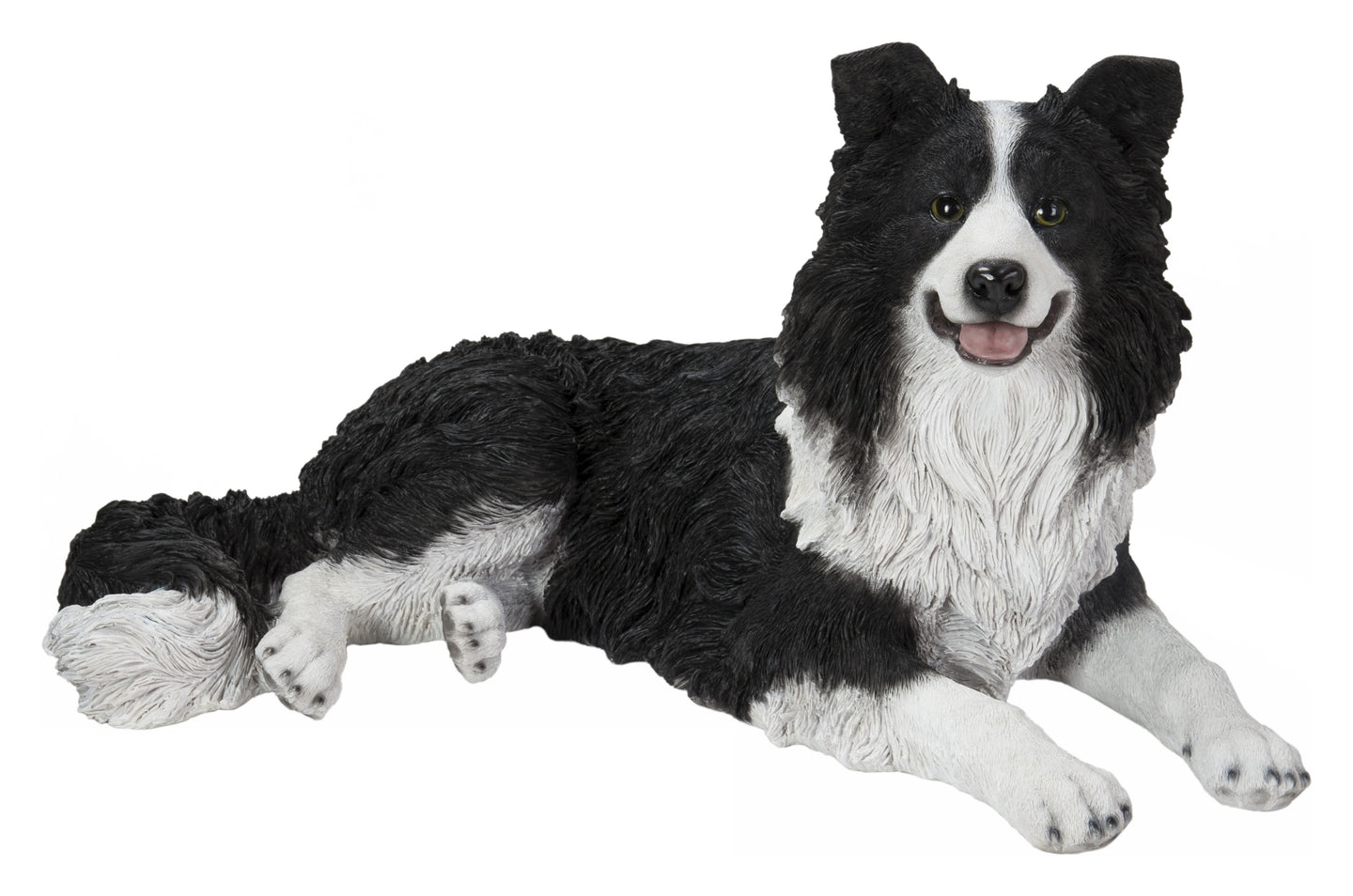 Lying Border Collie