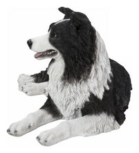 Load image into Gallery viewer, Lying Border Collie
