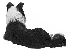 Load image into Gallery viewer, Lying Border Collie
