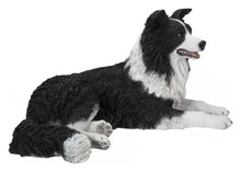 Load image into Gallery viewer, Lying Border Collie
