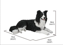 Load image into Gallery viewer, Lying Border Collie
