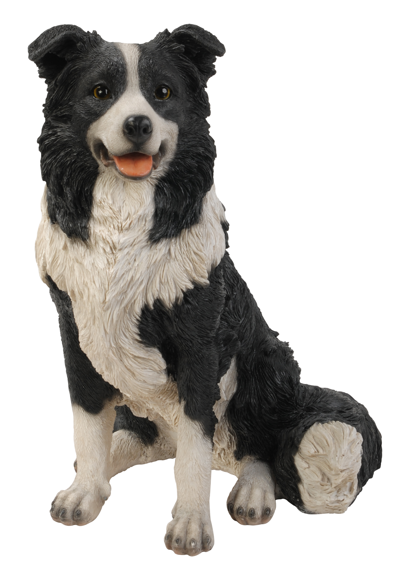 Border Collie Sitting