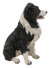 Load image into Gallery viewer, Border Collie Sitting
