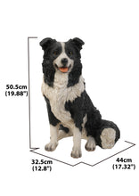 Load image into Gallery viewer, Border Collie Sitting
