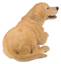 Load image into Gallery viewer, Yellow Labrador Retriever Lying Down
