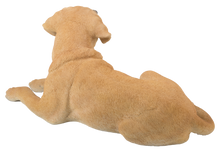 Load image into Gallery viewer, Yellow Labrador Retriever Lying Down
