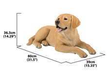 Load image into Gallery viewer, Yellow Labrador Retriever Lying Down

