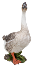 Load image into Gallery viewer, Goose
