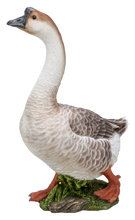 Load image into Gallery viewer, Goose
