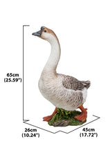Load image into Gallery viewer, Goose
