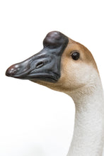 Load image into Gallery viewer, Goose
