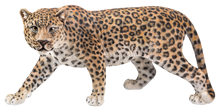 Load image into Gallery viewer, Leopard Stalking
