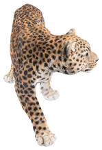 Load image into Gallery viewer, Leopard Stalking
