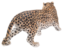 Load image into Gallery viewer, Leopard Stalking
