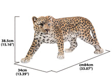 Load image into Gallery viewer, Leopard Stalking
