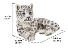 Load image into Gallery viewer, Snow Leopard Cub
