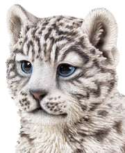 Load image into Gallery viewer, Snow Leopard Cub
