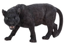 Load image into Gallery viewer, Black Panther Stalking
