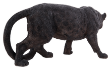 Load image into Gallery viewer, Black Panther Stalking
