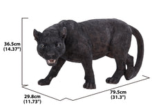 Load image into Gallery viewer, Black Panther Stalking
