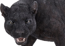 Load image into Gallery viewer, Black Panther Stalking
