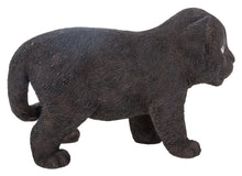 Load image into Gallery viewer, Black Panther Cub
