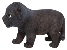 Load image into Gallery viewer, Black Panther Cub
