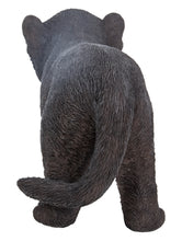Load image into Gallery viewer, Black Panther Cub
