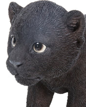 Load image into Gallery viewer, Black Panther Cub
