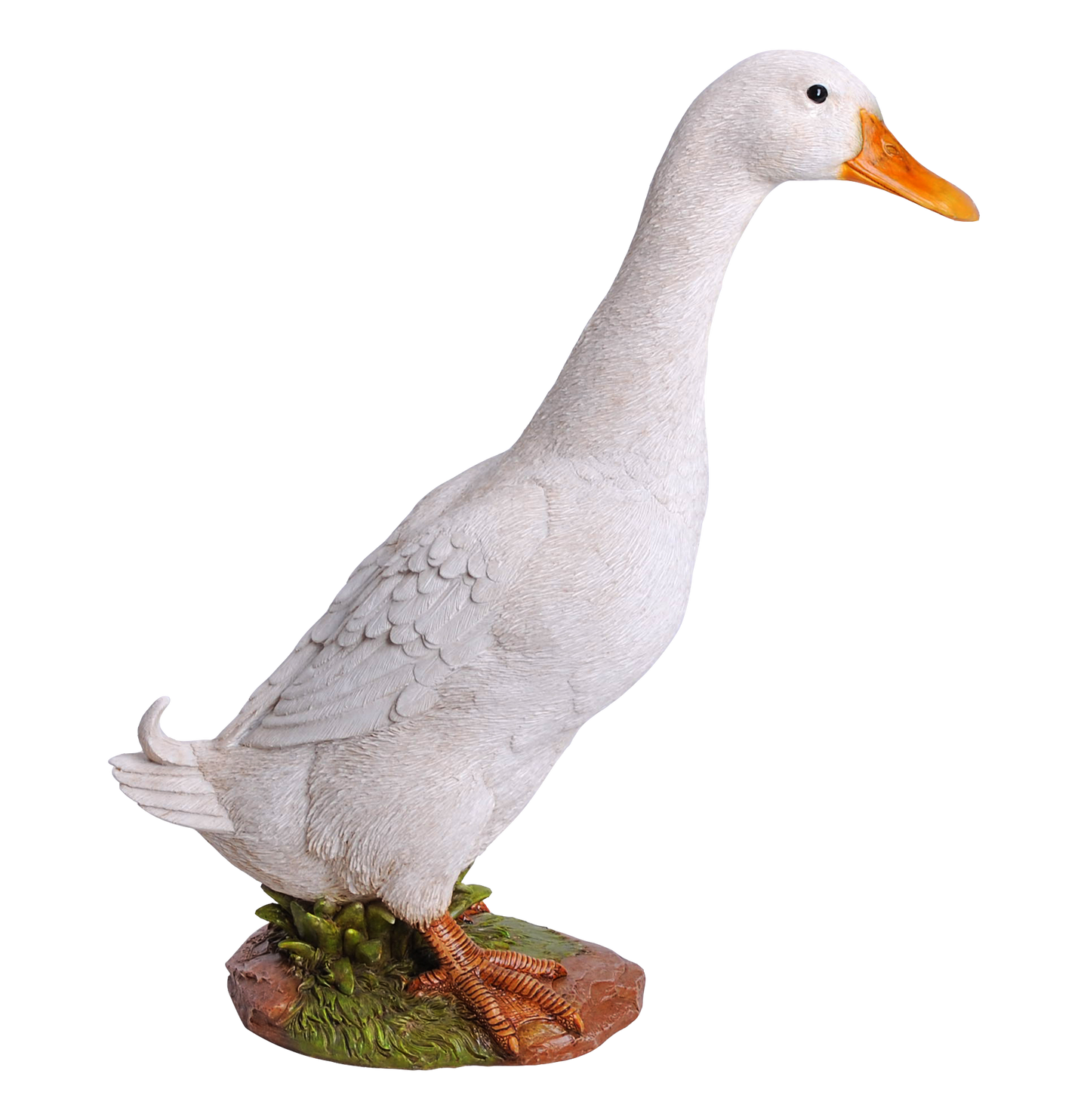 White Duck