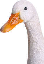 Load image into Gallery viewer, White Duck
