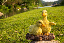 Load image into Gallery viewer, 87697-C-Playful Ducklings Garden Statue -Yellow
