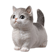 SoReal - Tabby Kitten