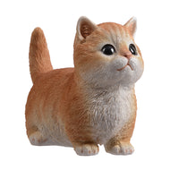 SoReal - Kitten