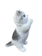 Load image into Gallery viewer, SoReal - Standing Tabby Cat
