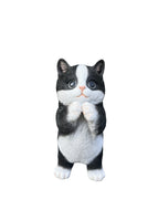 SoReal - Standing Cat