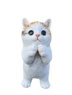 SoReal - Standing Cat