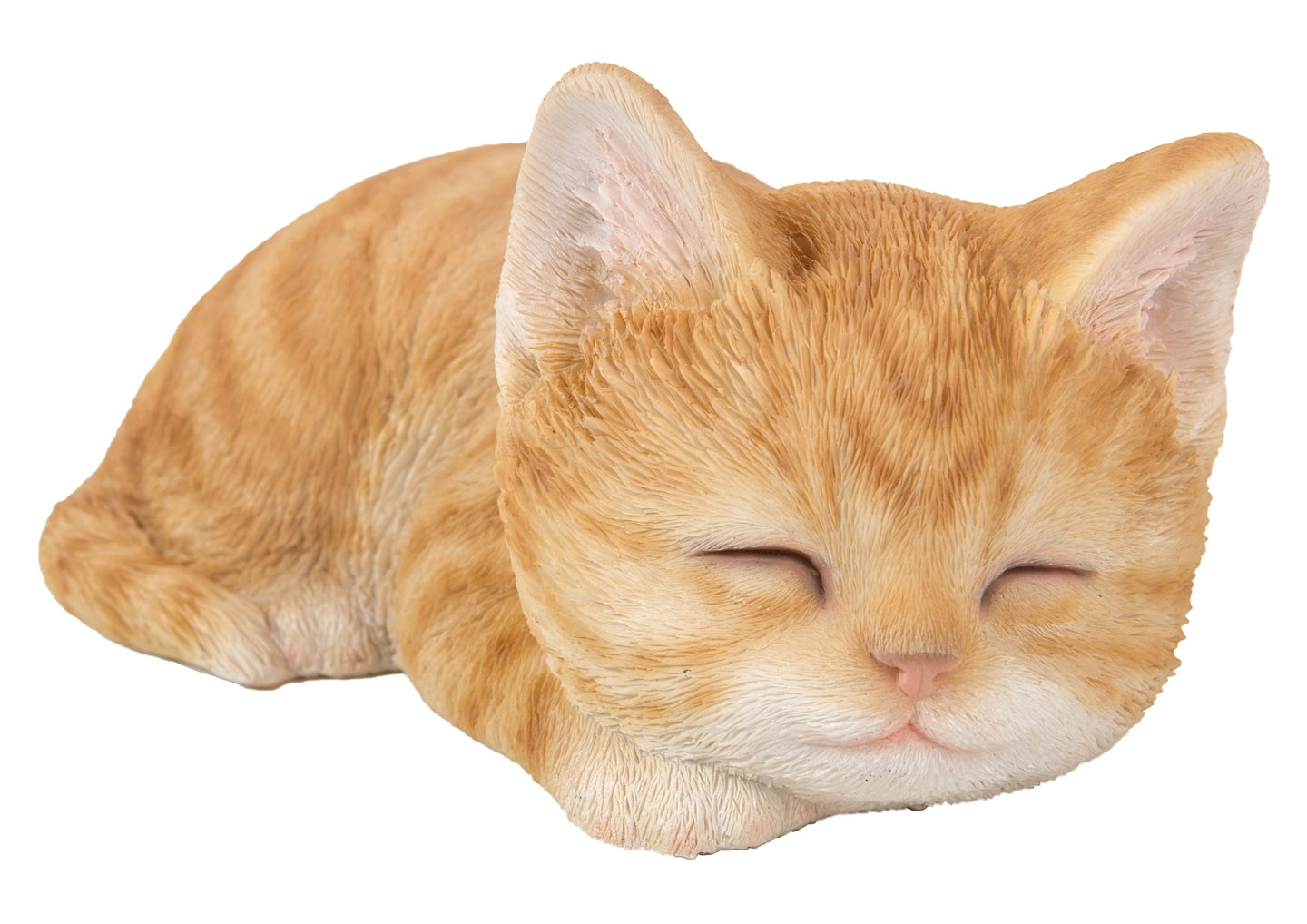Orange Tabby Kitten Sleeping