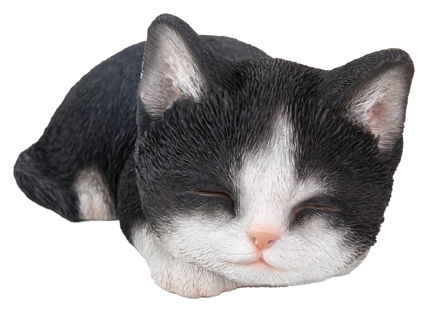Black & White Kitten Sleeping