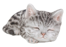 Load image into Gallery viewer, Grey Tabby Kitten Sleeping

