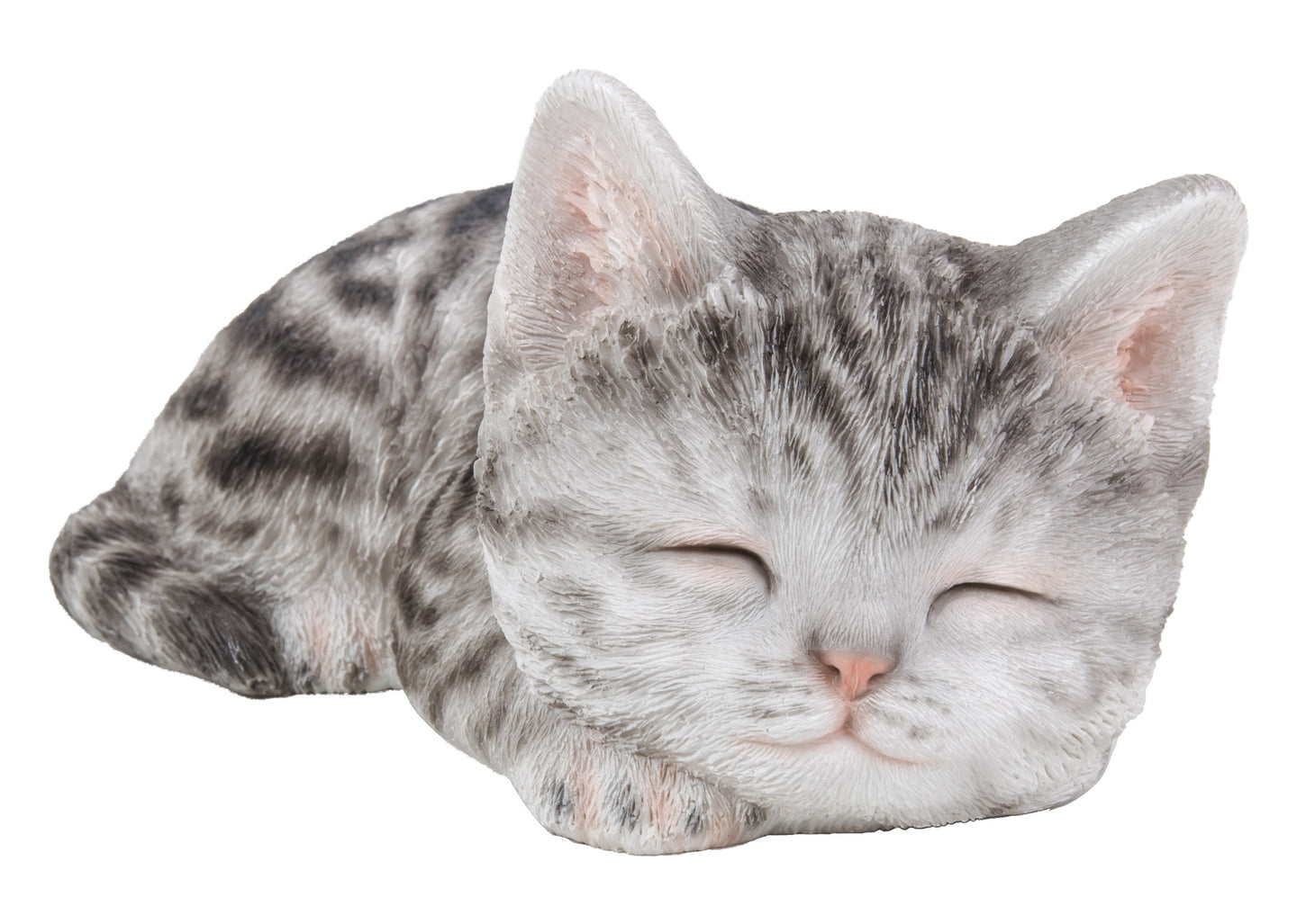 Grey Tabby Kitten Sleeping