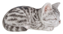Load image into Gallery viewer, Grey Tabby Kitten Sleeping
