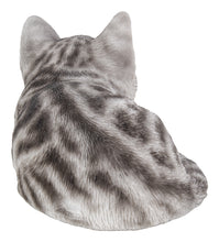 Load image into Gallery viewer, Grey Tabby Kitten Sleeping
