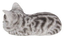 Load image into Gallery viewer, Grey Tabby Kitten Sleeping
